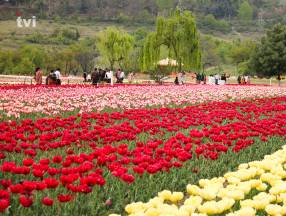 Jammu and Kashmir Tour Package