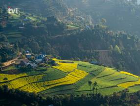 Uttarakhand Tour Package