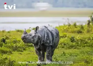 Assam Pradesh Tour Package