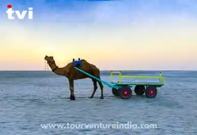 Gujarat Tour Package