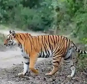 Nandhaur Wildlife Sanctuary